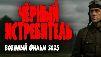 Чёрный истребитель (сериал, 2025)