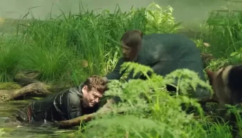 День солнца (2019) мини-сериал День солнца (2019) мини-сериал