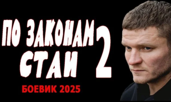 По законам стаи 2 (боевик, 2025) По законам стаи 2 (боевик, 2025)