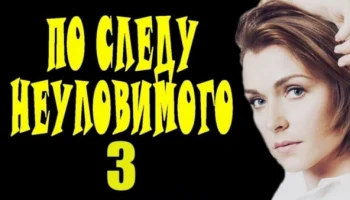 По следу неуловимого 3 (детектив, 2024)