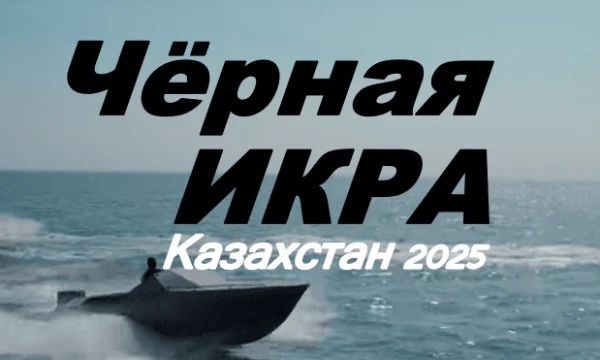 Закон один - выжить любой ценой / Черная Икра (2025) Казахстан