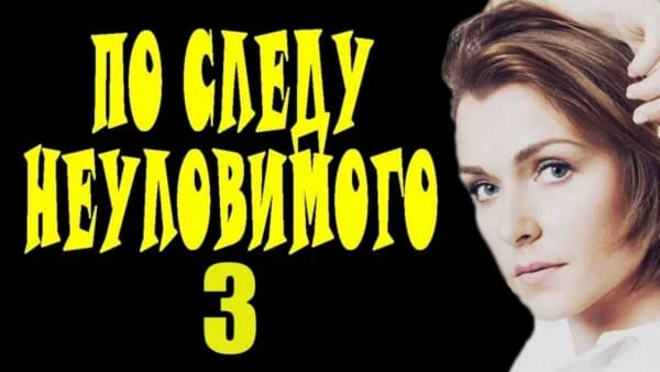 По следу неуловимого 3 (детектив, 2024) По следу неуловимого 3 (детектив, 2024)